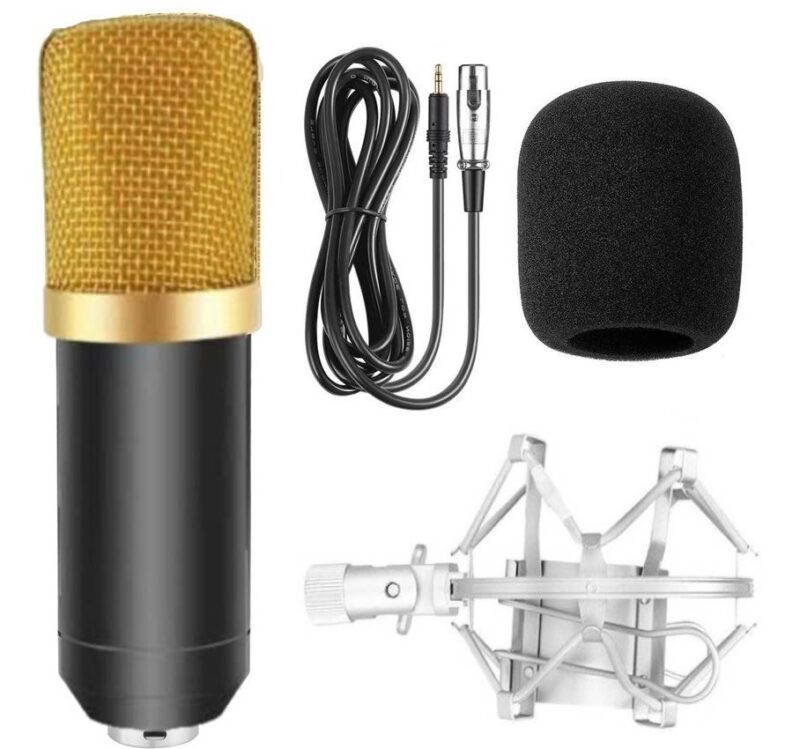 Micrófono Condensador Profesional Audiopro AP02033 - Imagen 2